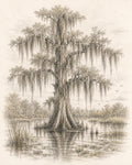 Florida Cypress Tree Sketch Print: Vintage Wetlands Wall Art (Digital Download)