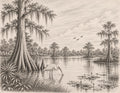 Vintage Florida Wetlands Pencil Sketch: Cypress Trees, Spanish Moss, Wading Bird